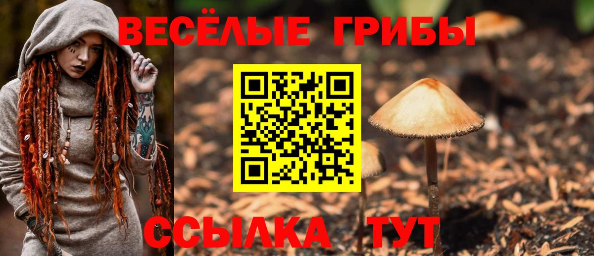 Рославль  Псилоцибиновые грибы Magic Shrooms  Вход с VPN 